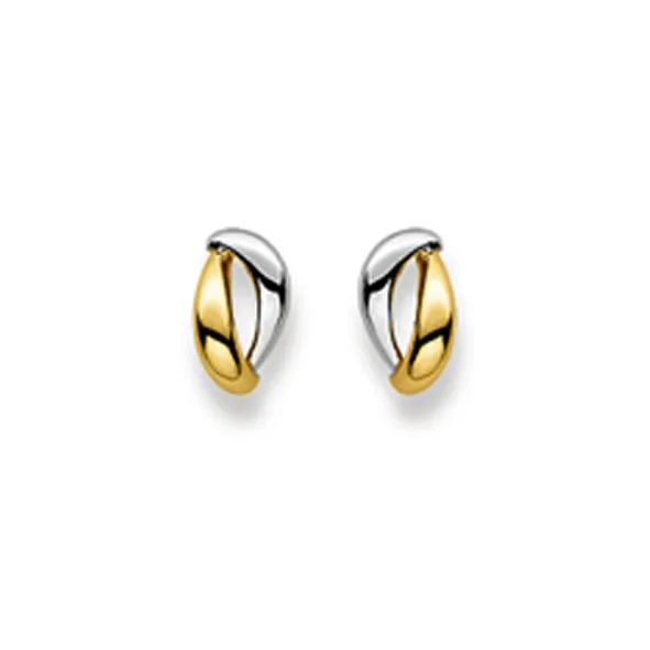 Clous d'oreilles, bicolore, bicolore, or 750/ 18 ct.