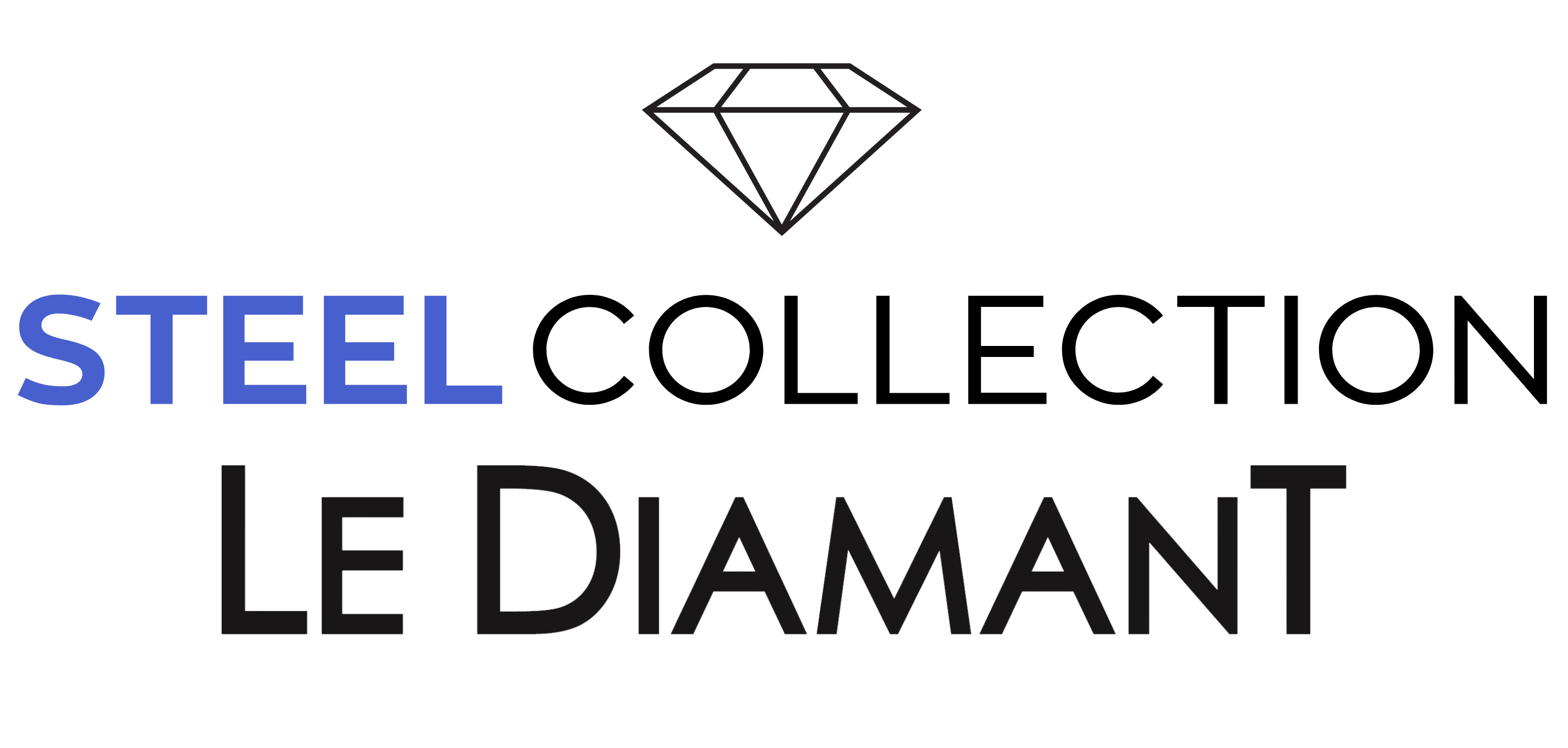 Logo Steel Le Diamant.ch stylisé en noir et bleu.